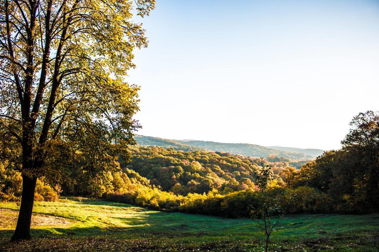 Etno Naselje Vrdnicka Kula Bed and Breakfast Vrdnik Buitenkant foto